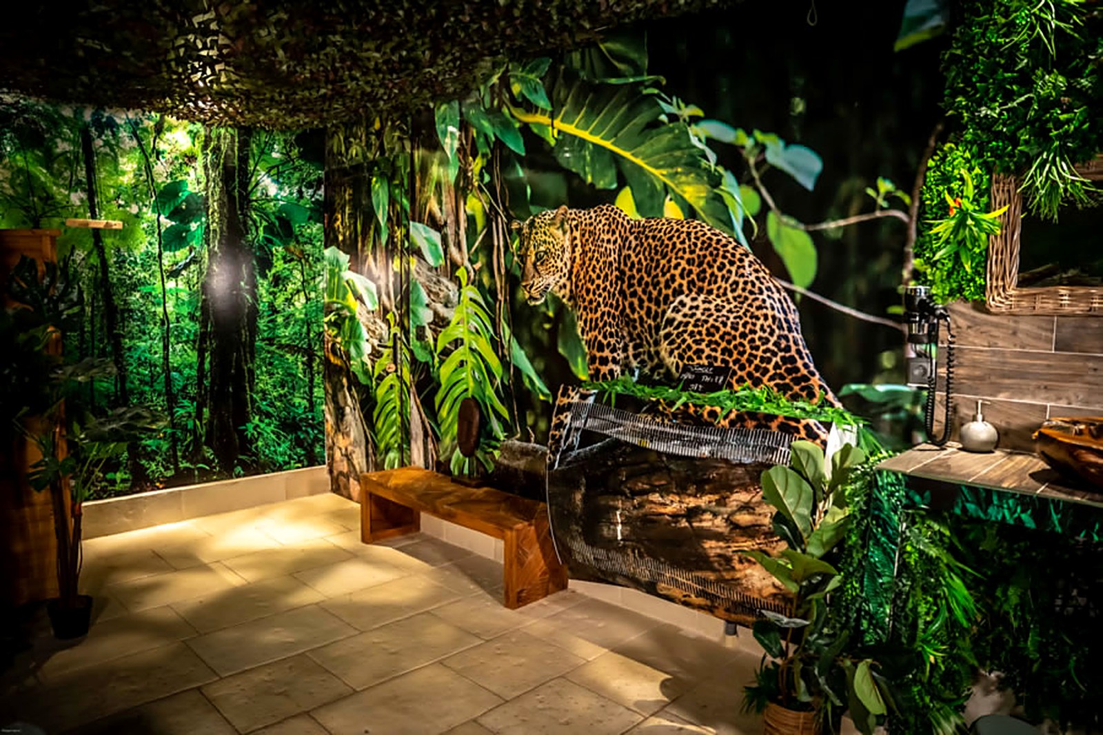 Salle de spa privative Jungle